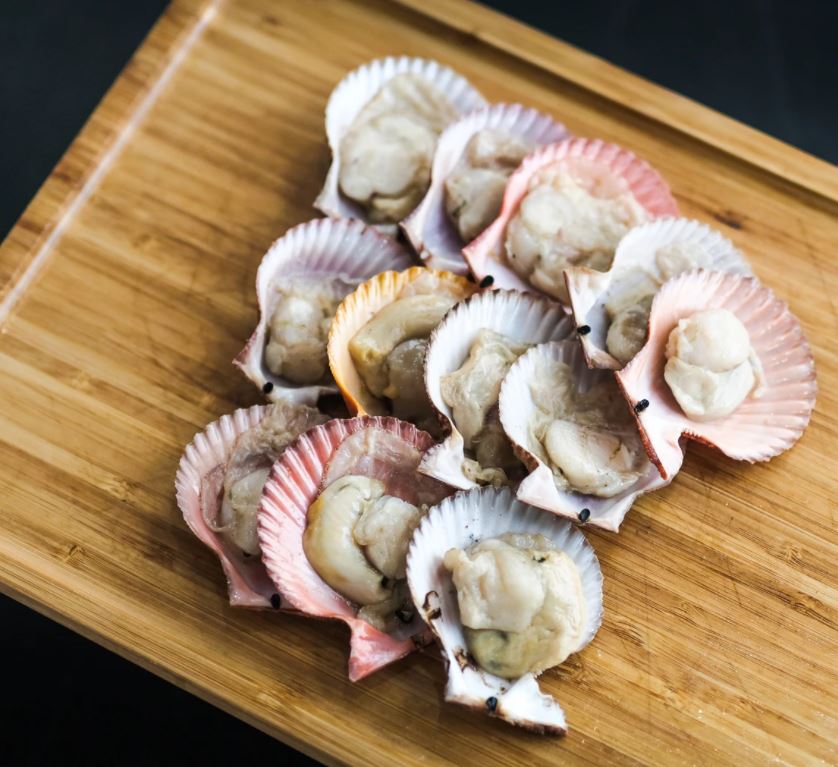 Scallops on the Half Shell (1 lb frozen) - Afishionado Fishmongers